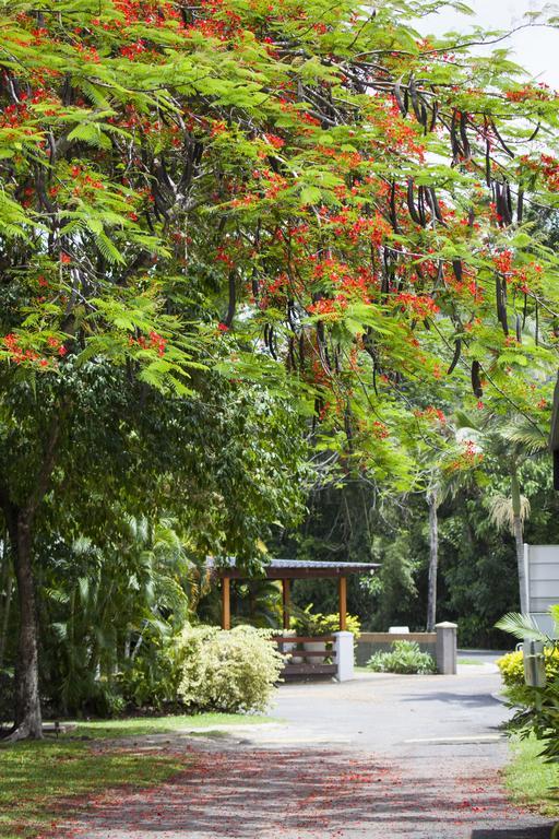 Lake Placid Tourist Park Hotel Caravonica Ngoại thất bức ảnh