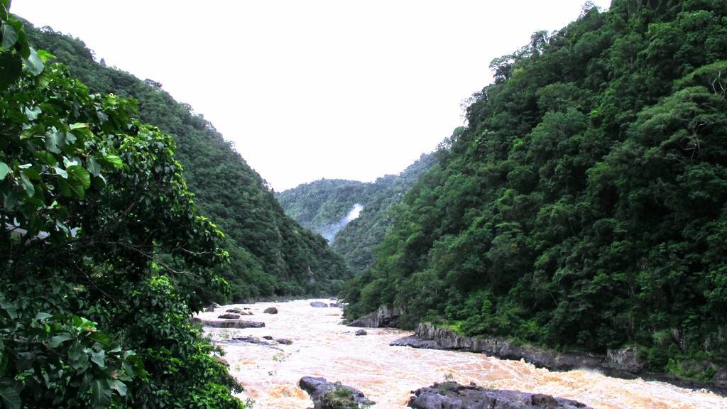 Lake Placid Tourist Park Hotel Caravonica Ngoại thất bức ảnh