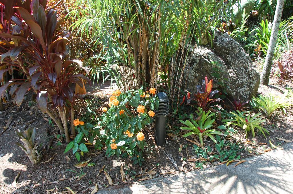 Lake Placid Tourist Park Hotel Caravonica Ngoại thất bức ảnh